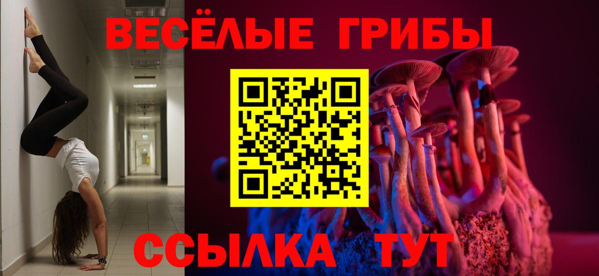 Псилоцибиновые грибы MAGIC MUSHROOMS Железногорск